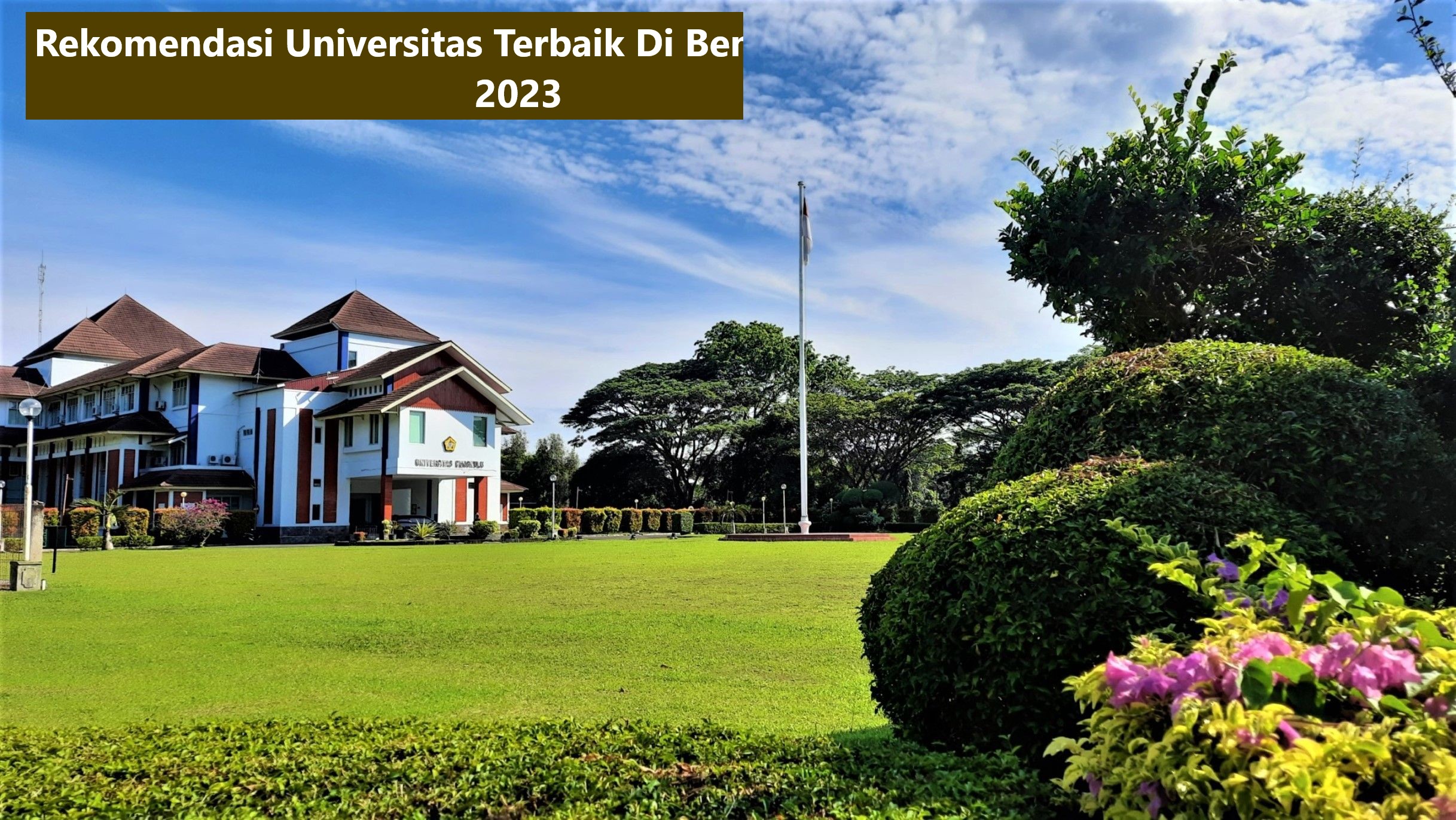 Rekomendasi Universitas Terbaik Di Bengkulu Terbaru 2023