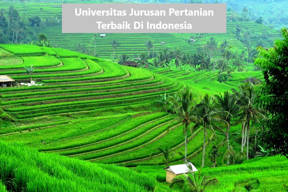 Universitas Jurusan Pertanian Terbaik Di Indonesia